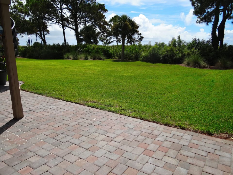 Private back porch and lawn