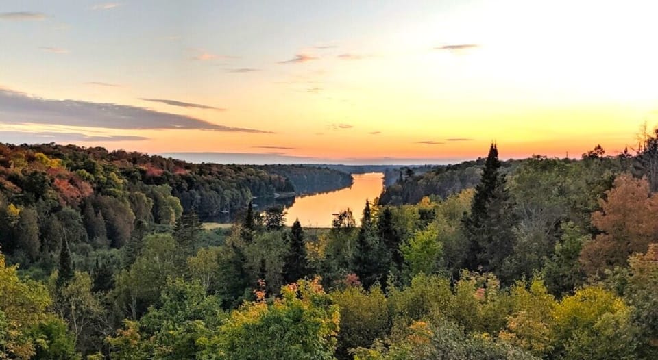 Fall view