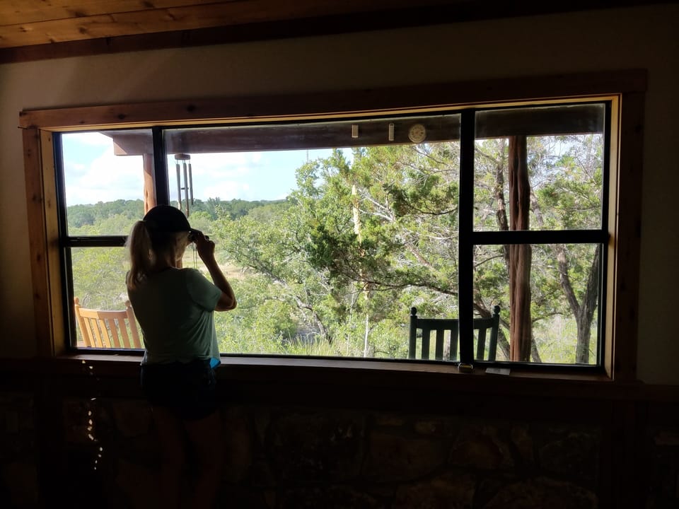 birders love this area for its abundant variety