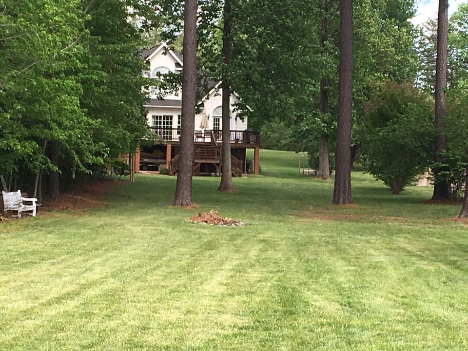 Back yard