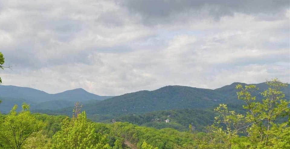 Red Hill Roost Mountain View
