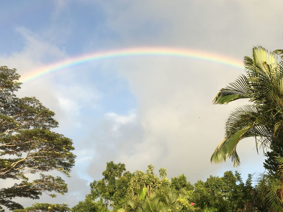  Kaua`i's huge rainbows