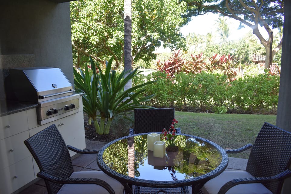 Built-in Viking BBQ on lanai 