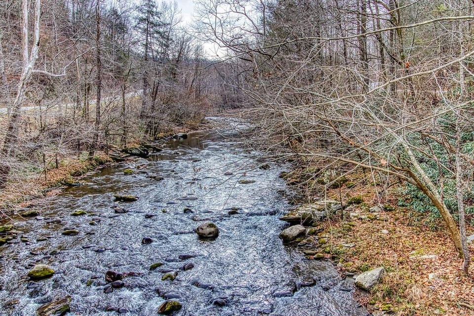 Little Pigeon River right outside our back door