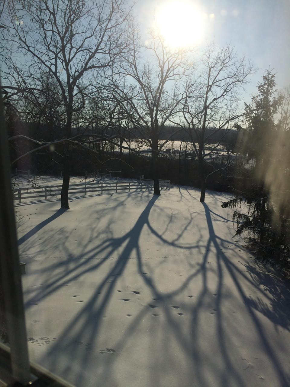 morning sun