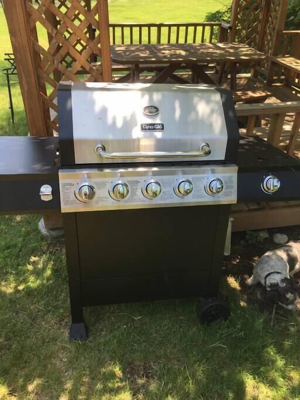 Outdoor gas grill.