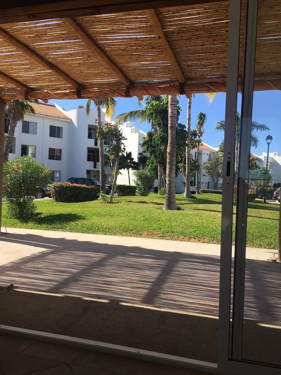 complex- lovely green space and loads of fruit trees line the complex