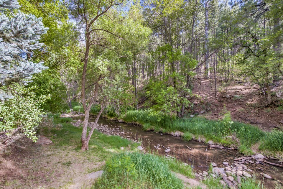 View from Back Yard