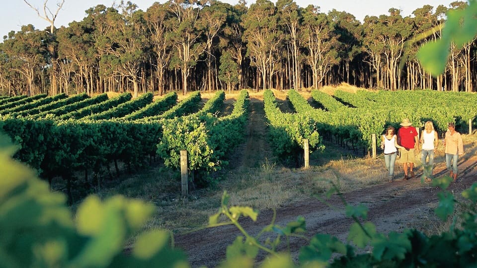Niagara region wine tours