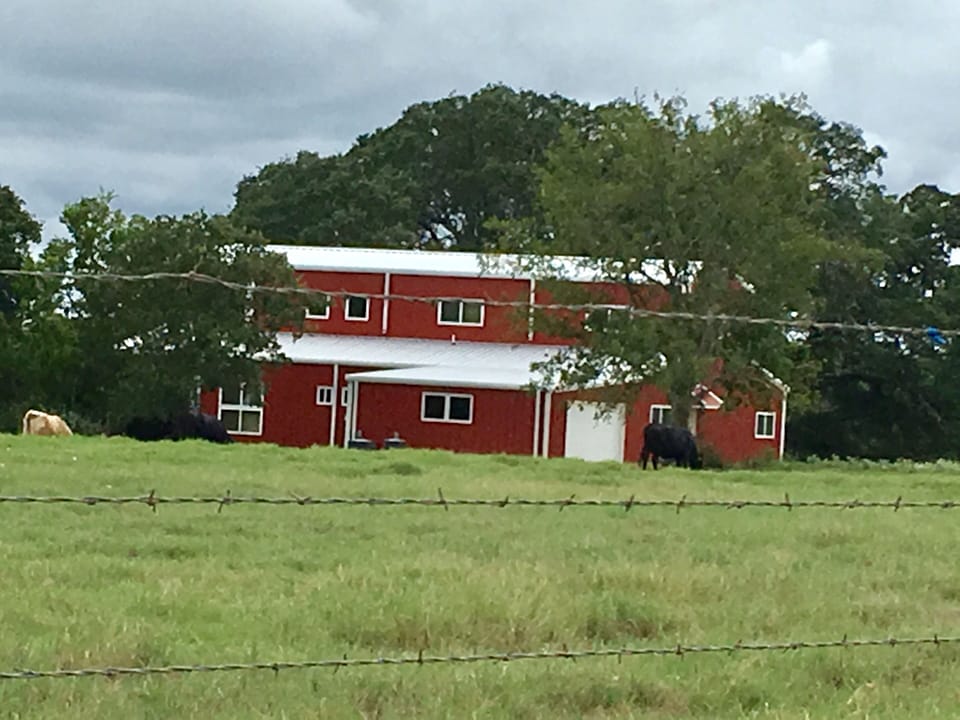 nestled in the oaks