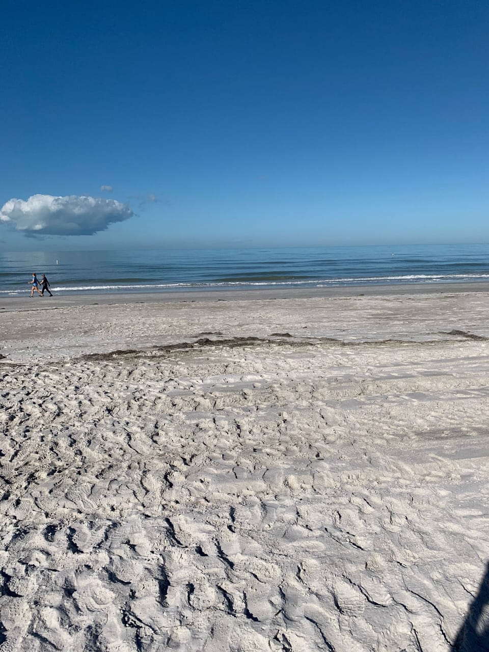 view from back door.  this is low tide