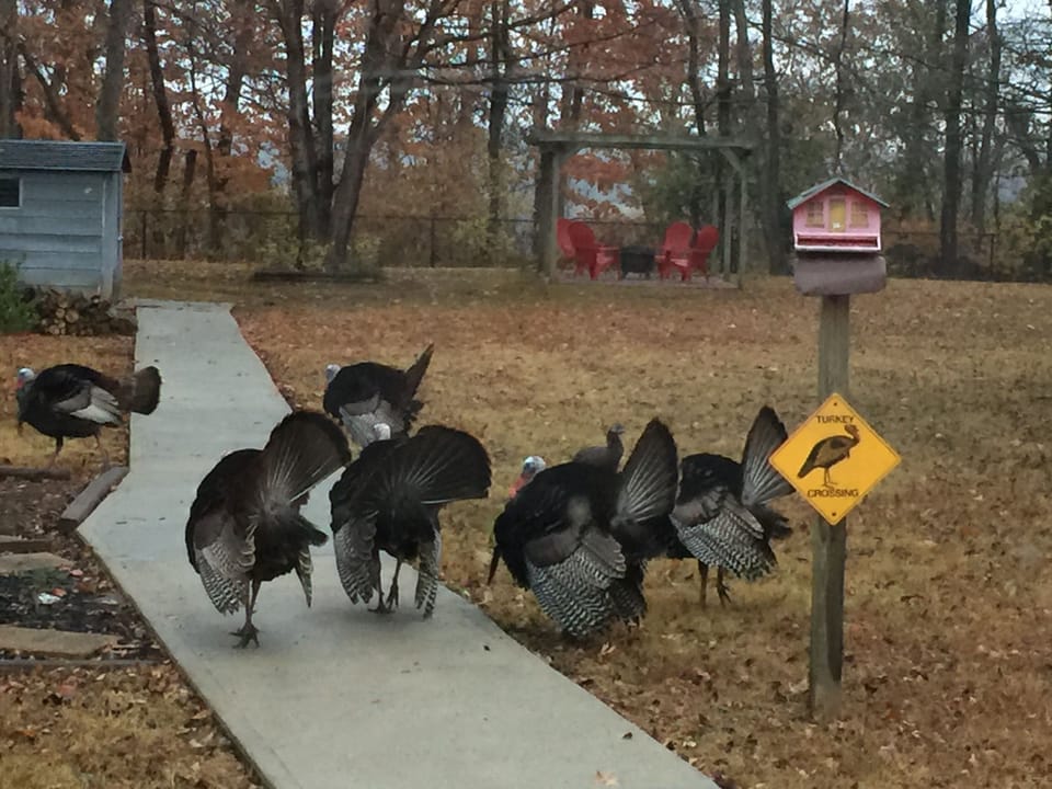 Near downtown Nashville and nature too!