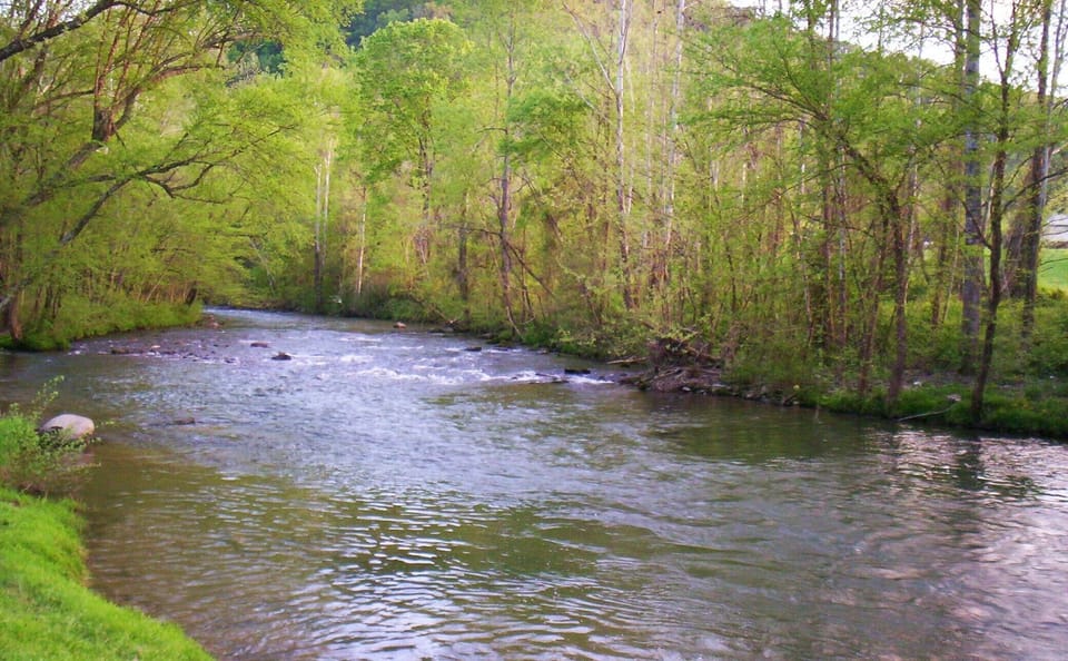 Looking up River from in front of Farmhouse