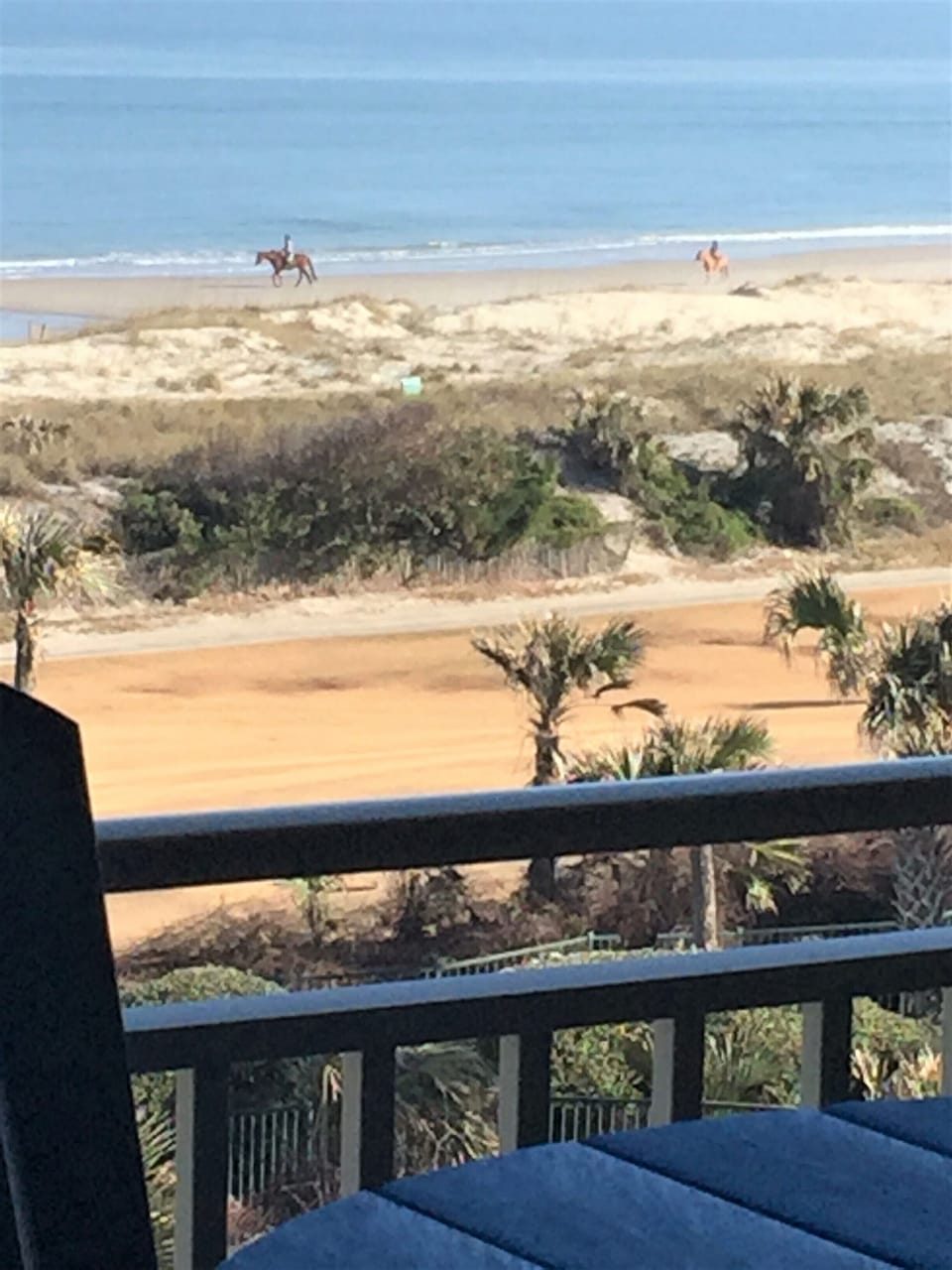 Gorgeous horses on our beach.  Watch from the balcony...or go horseback riding!!