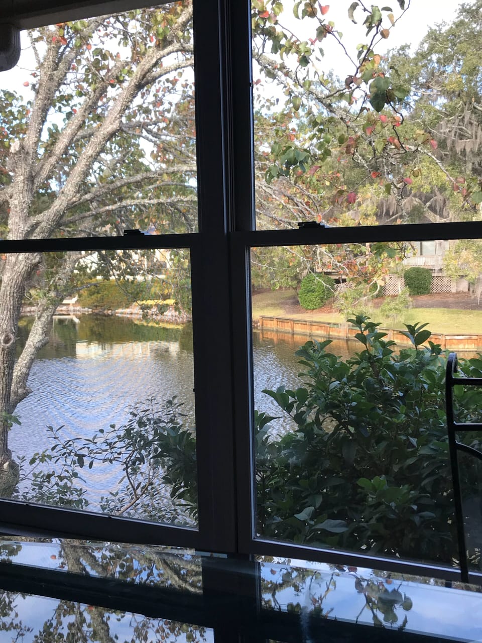 View from kitchen table