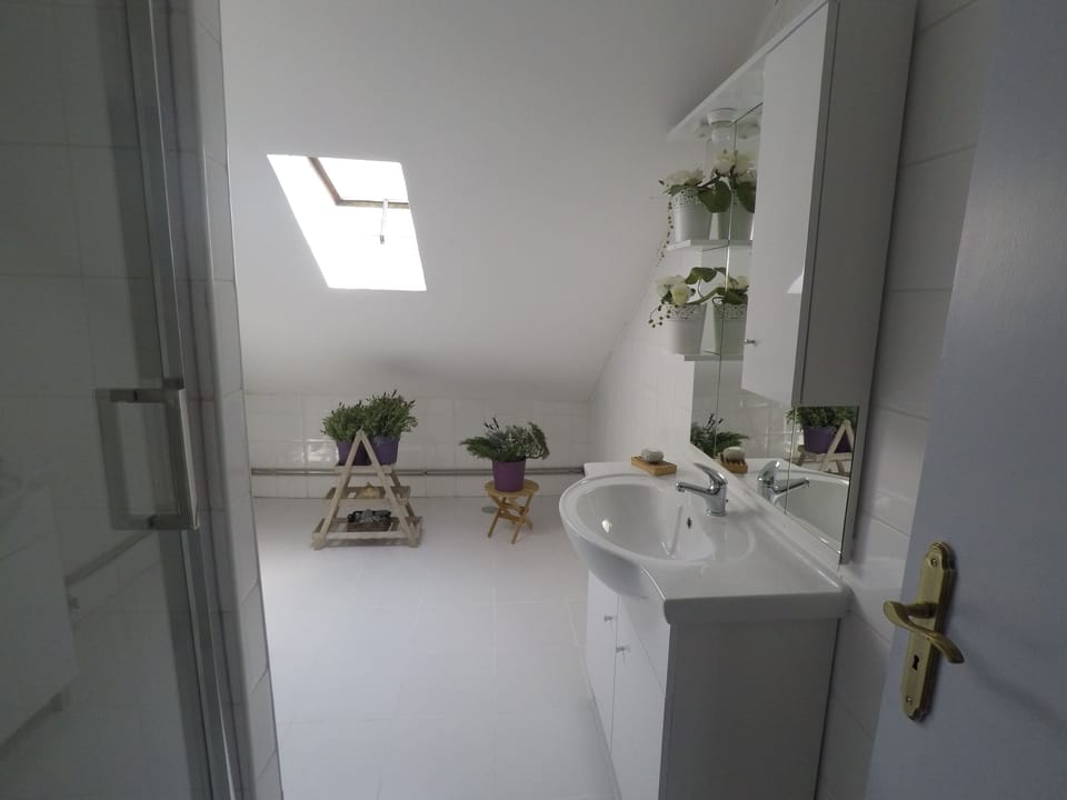 Deluxe Double Room, Private Bathroom, City View | Bathroom | Free toiletries, hair dryer, towels