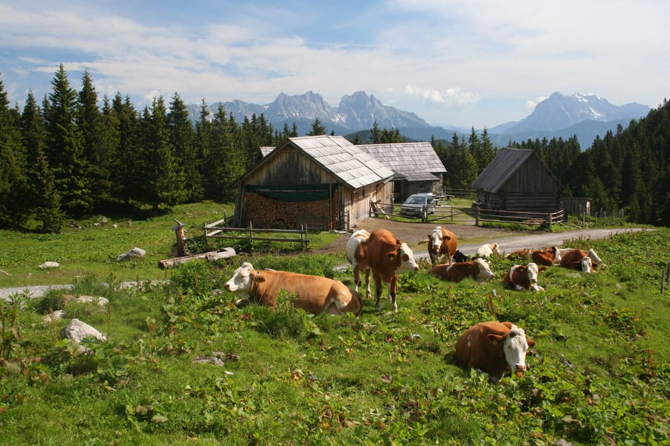 Scheibelalm - peacefull place within easy reach also with childern