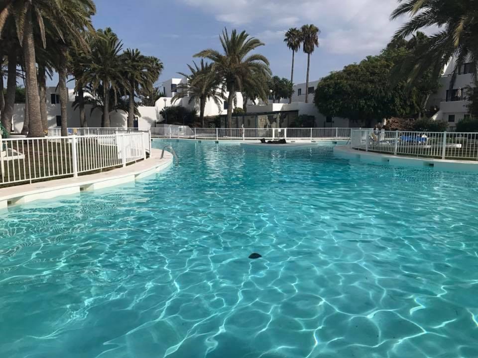 The pool is spectacular !!
Swim without problems because it is very quiet