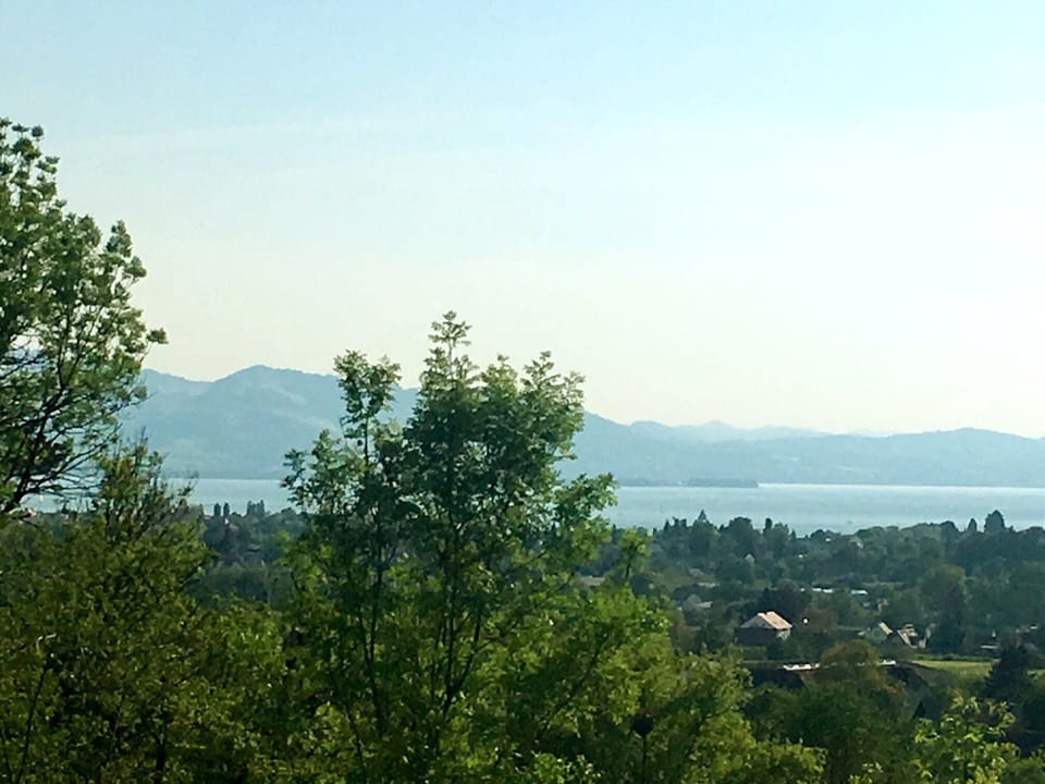 Get up with SEEBLICK style apartments mountain and lake view and terrace in Lindau Apartment in Lindau