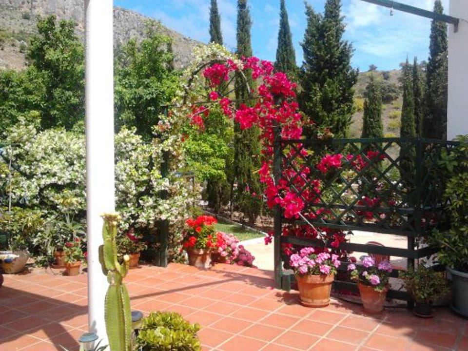 May and June: Out from the terrace to the garden