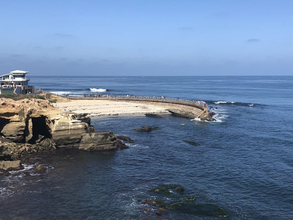 The famous, "Children's Pool" filled with Sea Lions