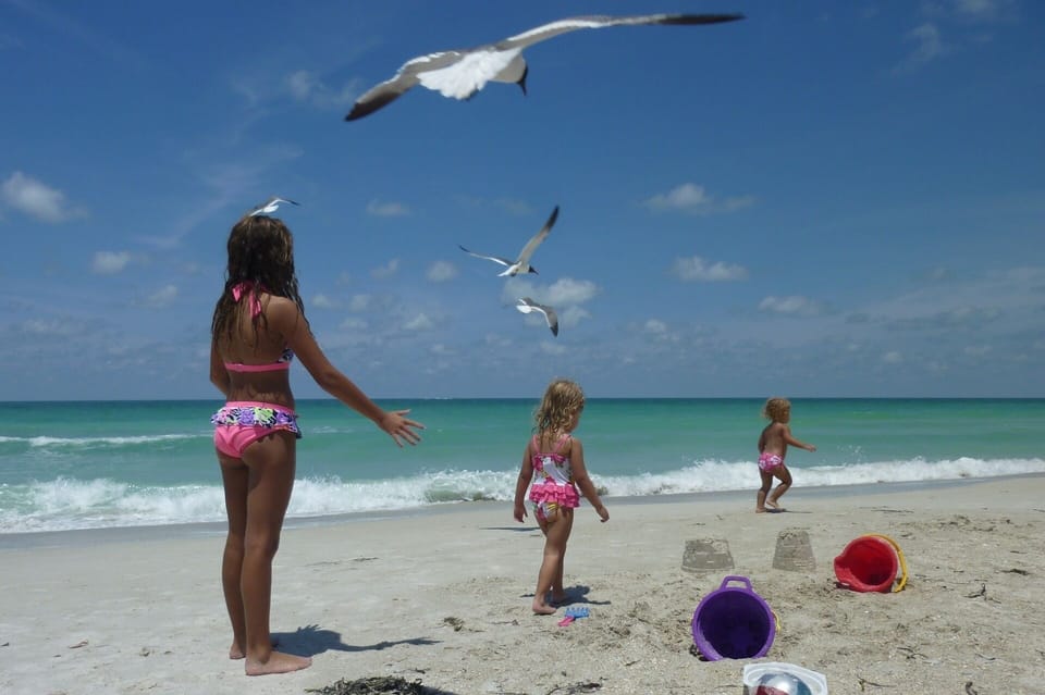 Imagine your kids (or even yourself) chasing birds on the beach