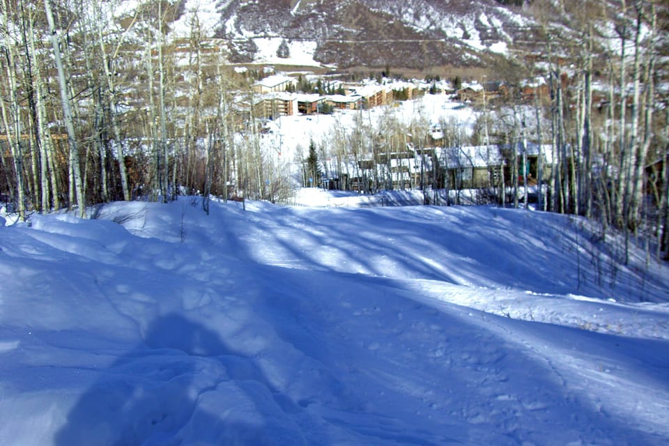 View Down Private Ski Trail Adjacent to Home