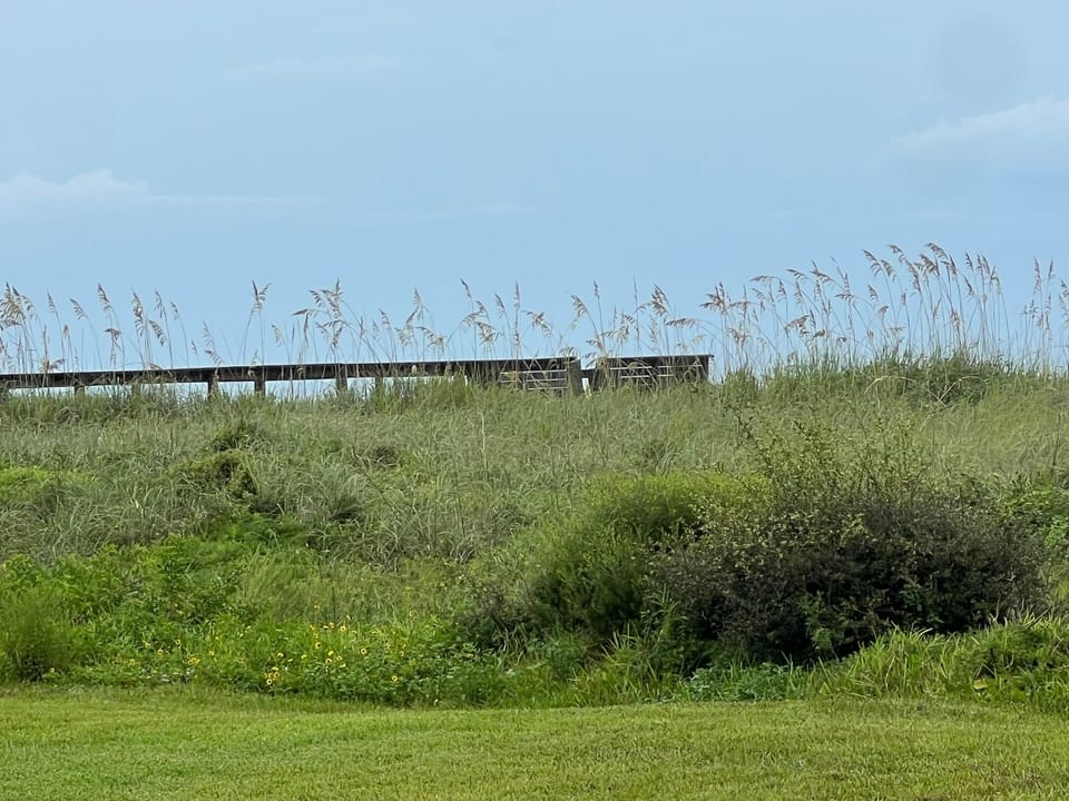 View looking towards dunes and boardwalk to the beach