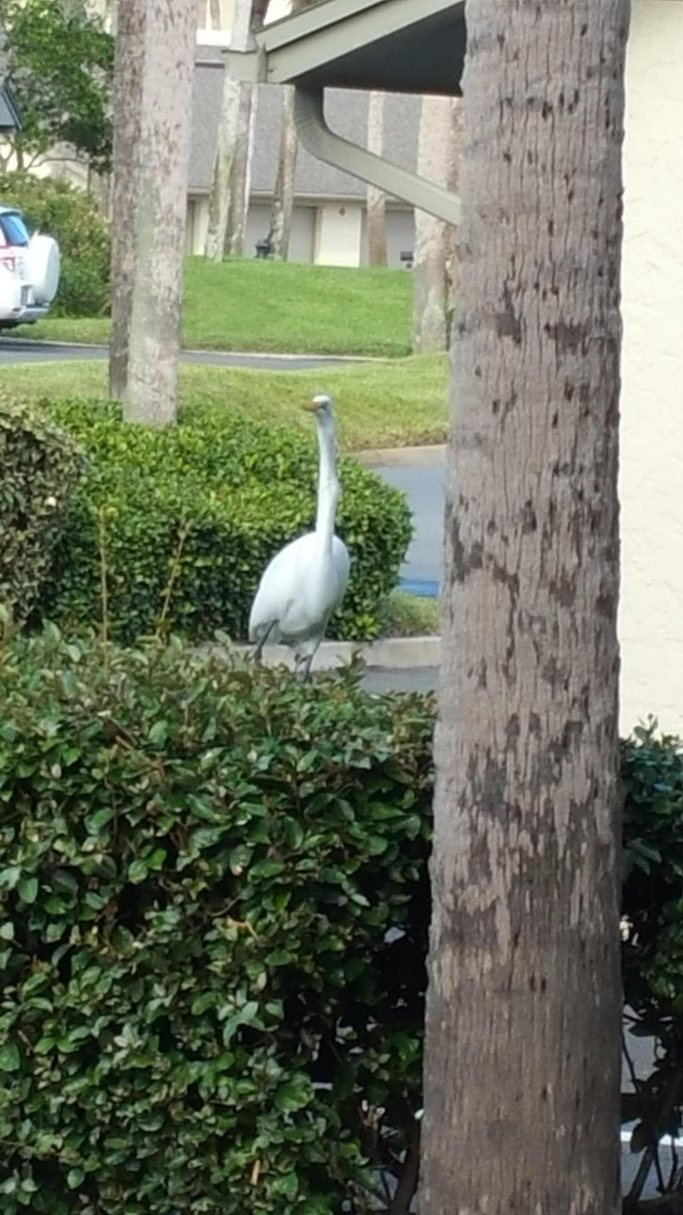 A friend