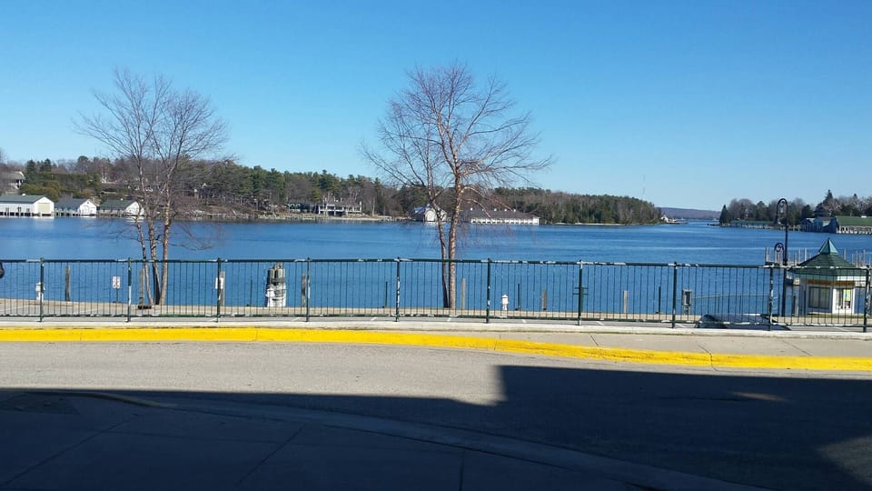 View from the patio (in winter)