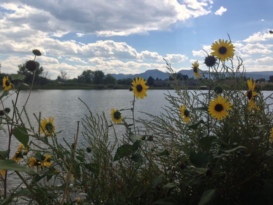 Walk, run, or bike around nearby Twin Lakes with views of the Front Range