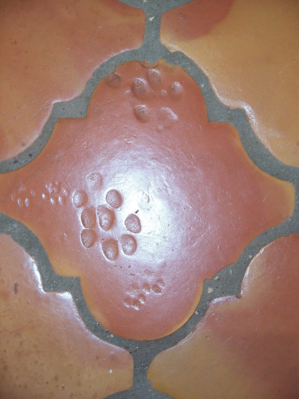 Dog prints guaranteed to bring good luck!