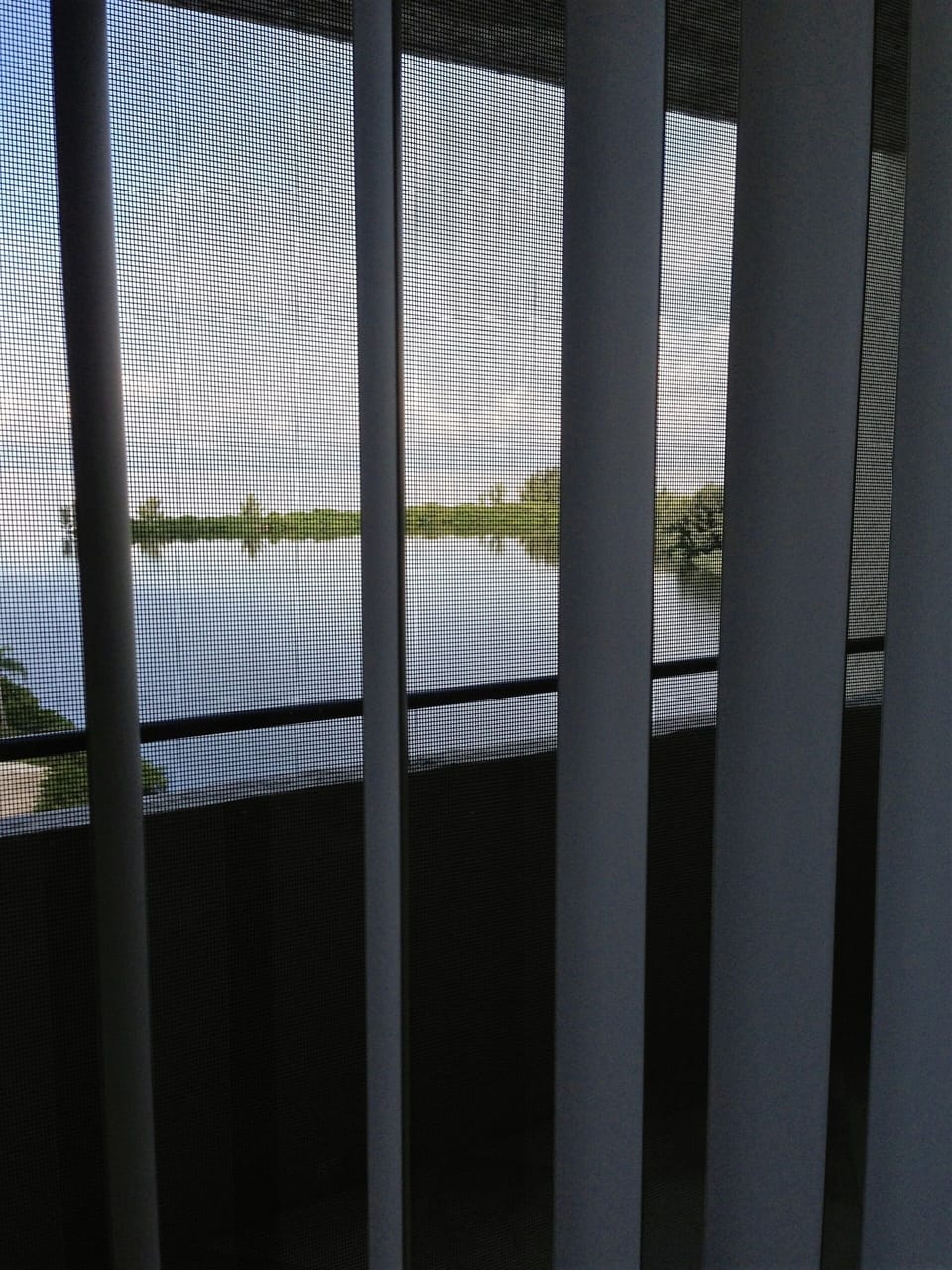 View from primary bedroom