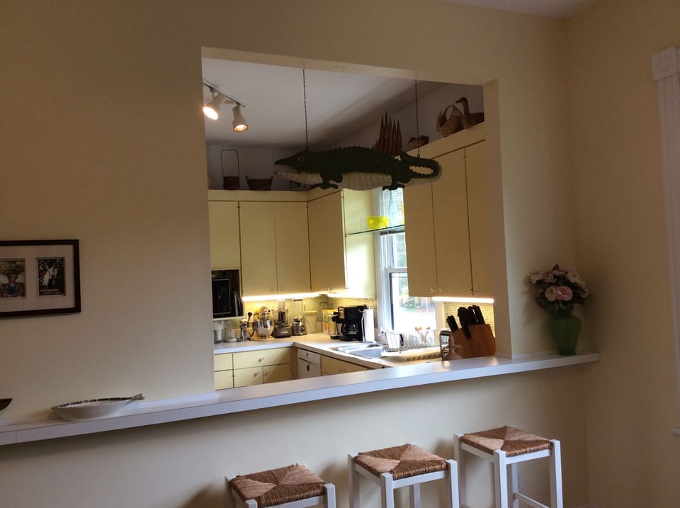 Closeup of kitchen pass through. Watch out for the alligator!