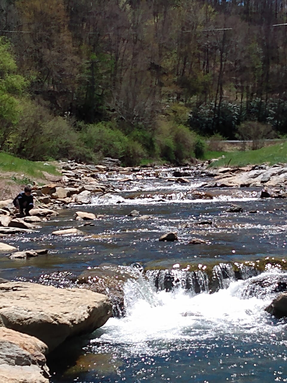 Payne Branch Park 