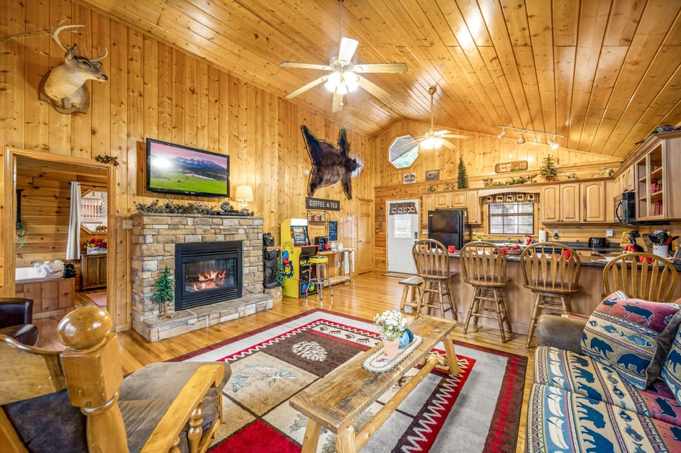 Cozy fireplace - electric that changes colors!