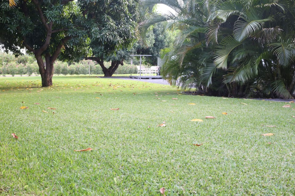 Large backyard
