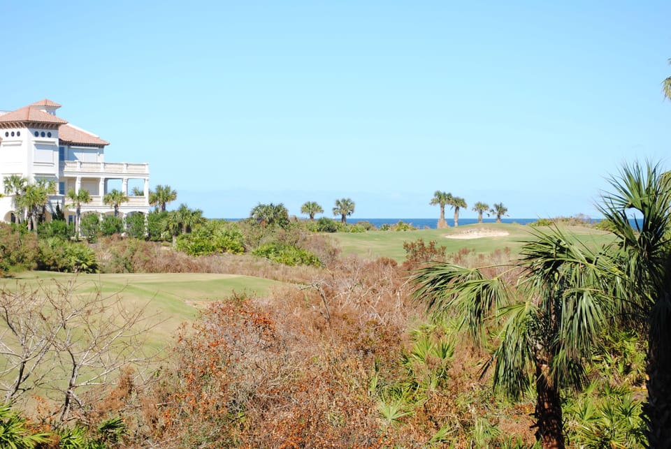 Views of the Atlantic Ocean. Luxury oceanfront homes are your neighbors.