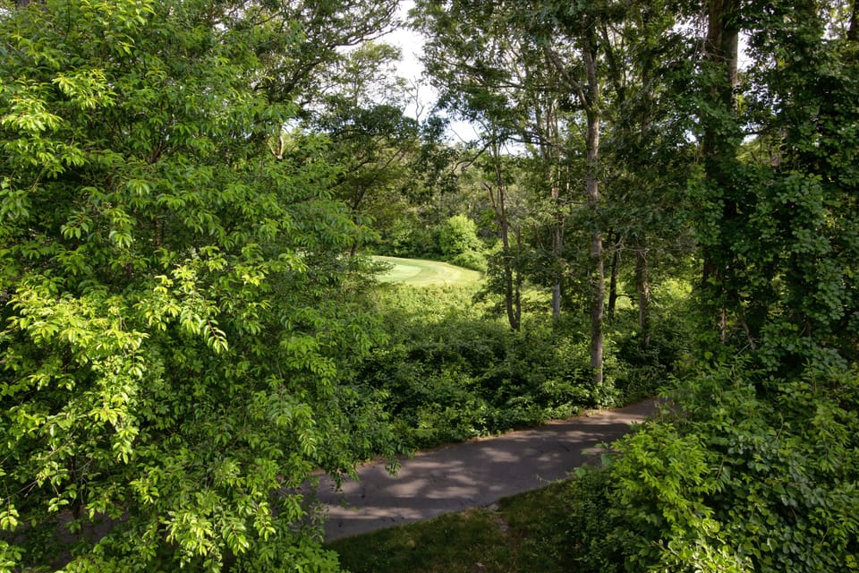 View of golf cart path.