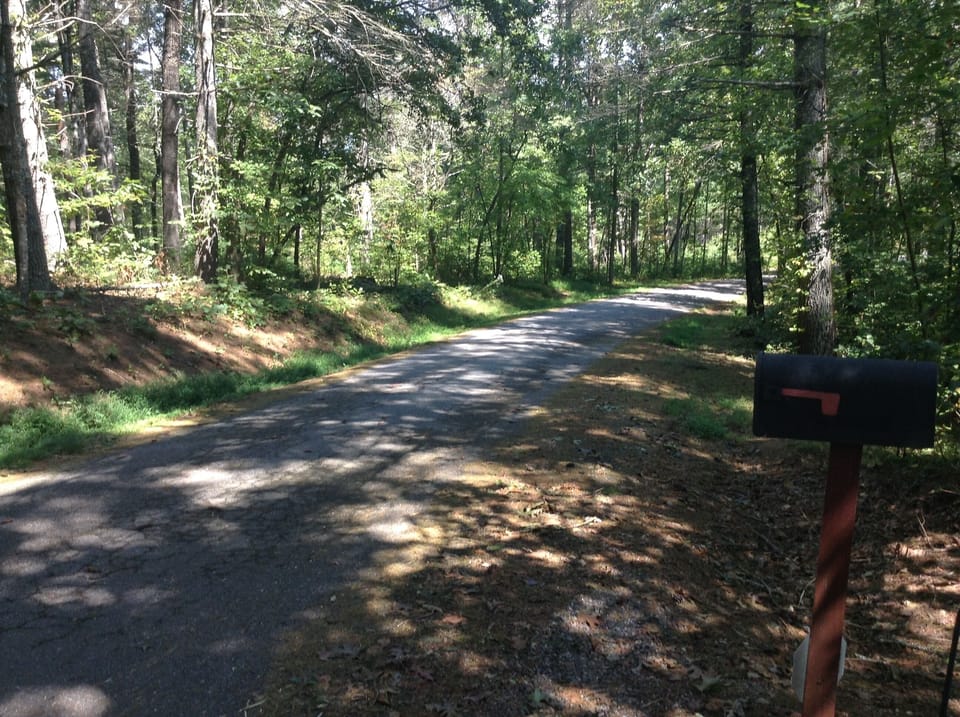 Road leading up to the cabin
