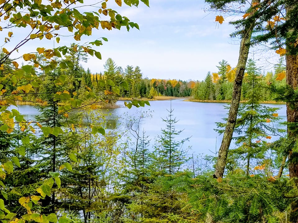 View of Wildcat Channel 