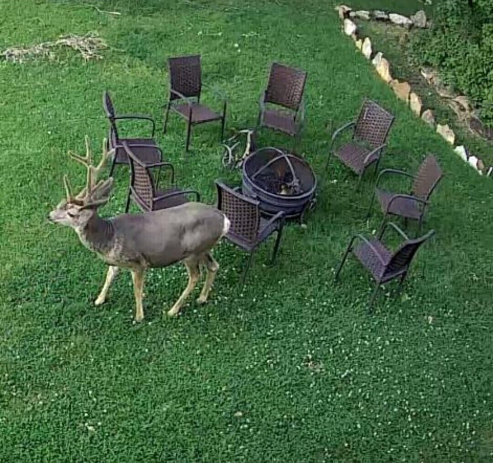 4 fire pits & sombody waiting to have there pitchure taken