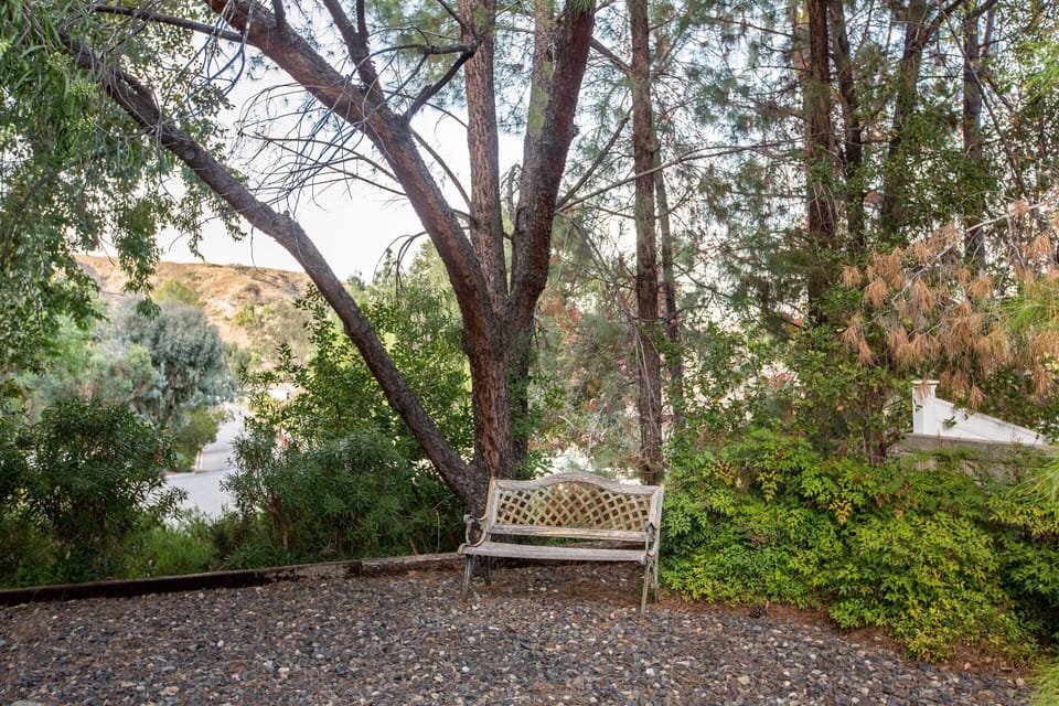 Another Park Bench nestled in the Trees in your Very Private Front Yard.