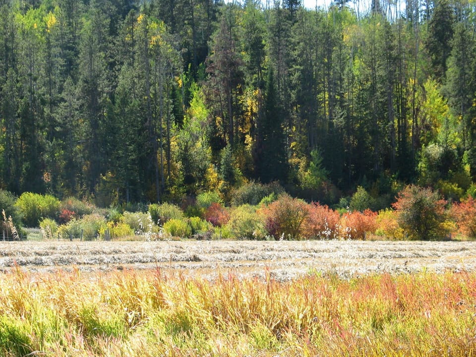 Teton Valley Area Photo