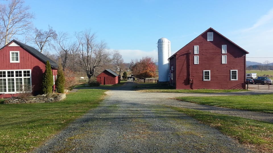 The farm