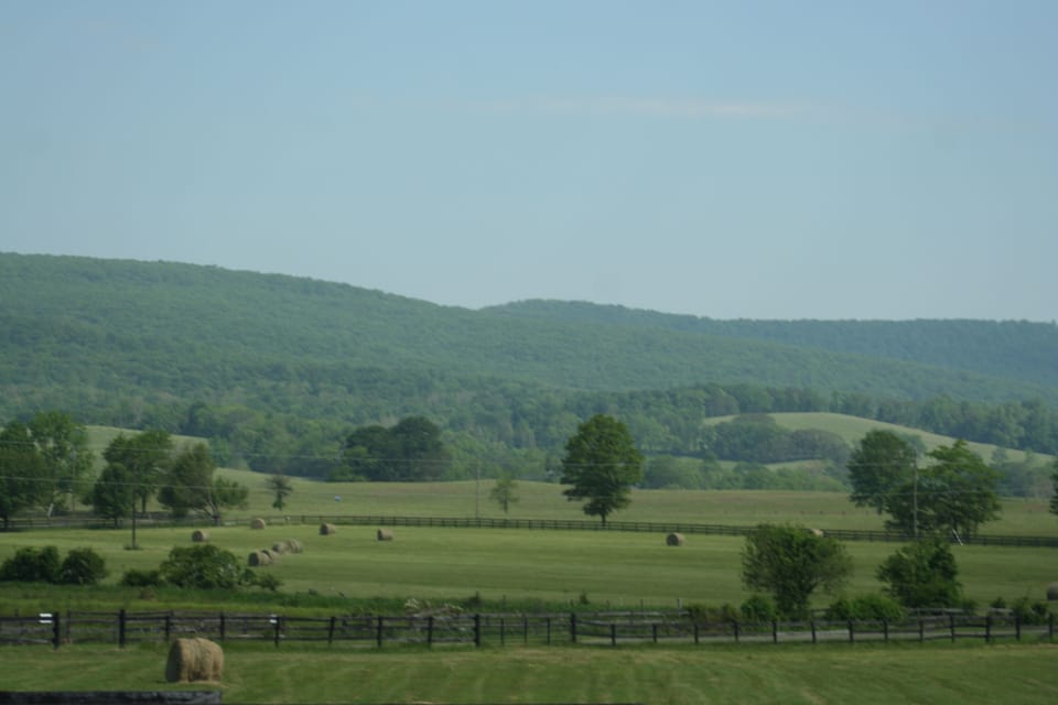 Hay fields