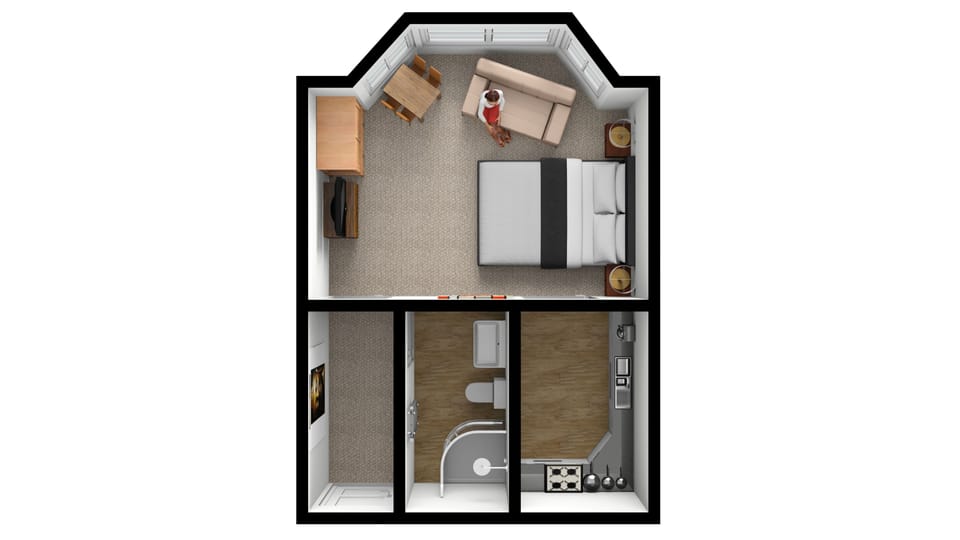 Spacious Studio Apartment - Muntham Apartment 5