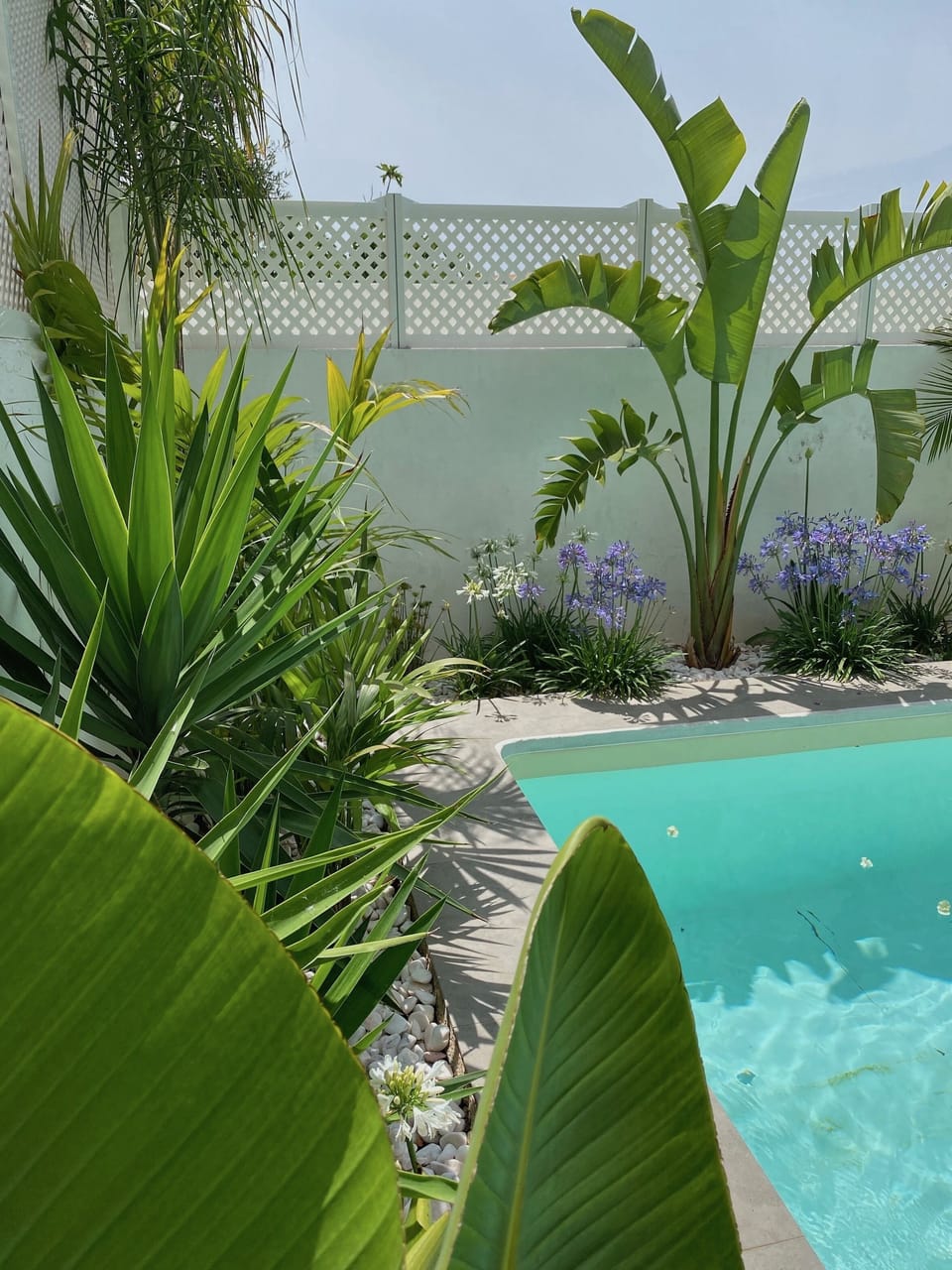 jardin