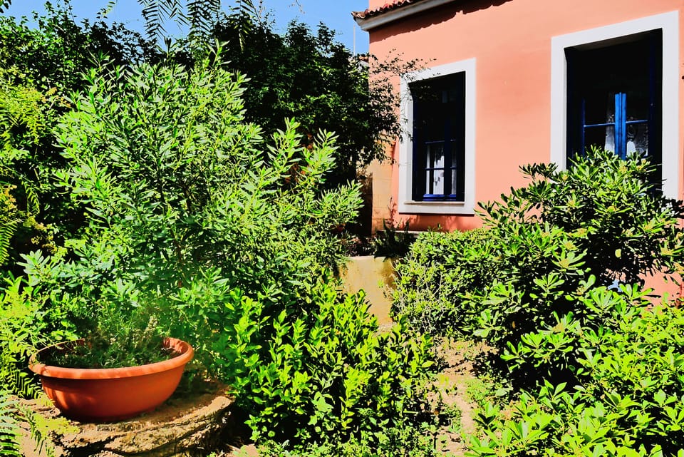 Fantastic Garden in the center of the Town