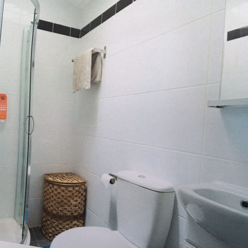 Ground Floor Toilet / Shower Room